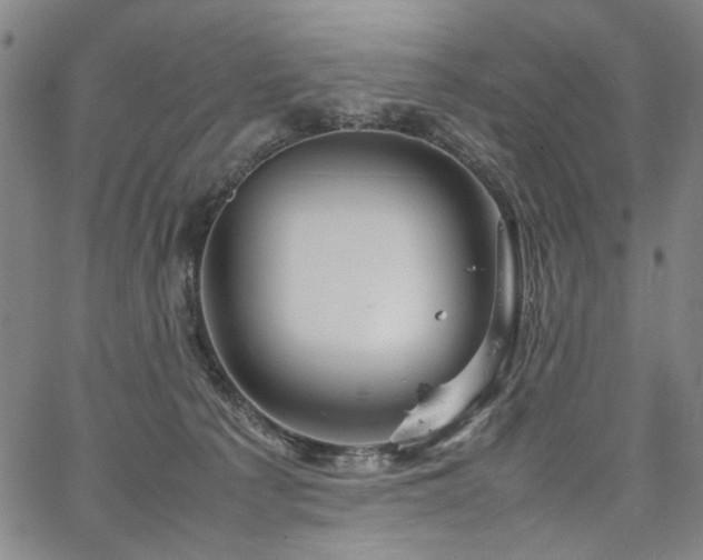 X0000067480225200604071147