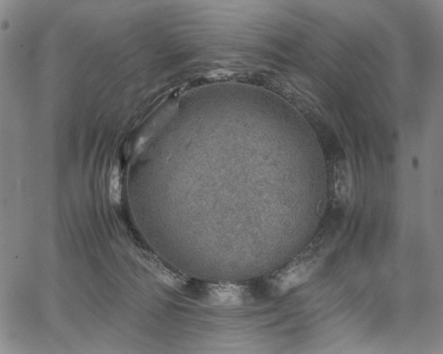 X0000067480226200604071147