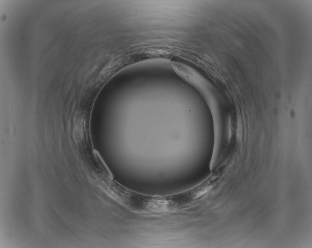 X0000067480227200604071147