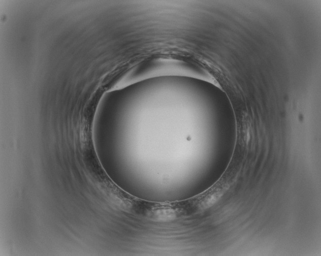 X0000067480228200604071147