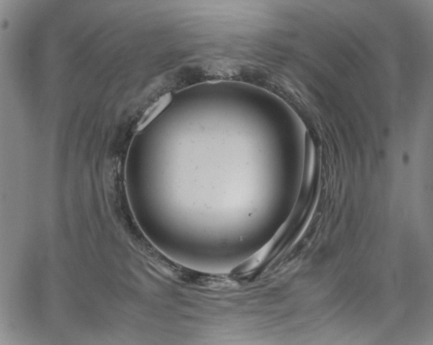 X0000067480229200604071147