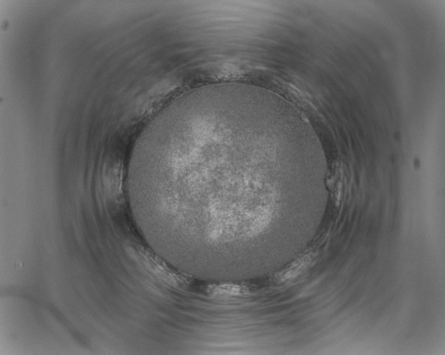 X0000067480230200604071147