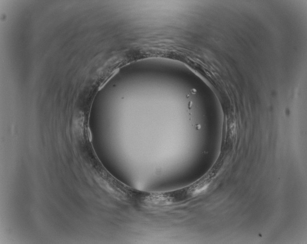 X0000067480231200604071147