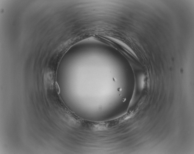 X0000067480232200604071147