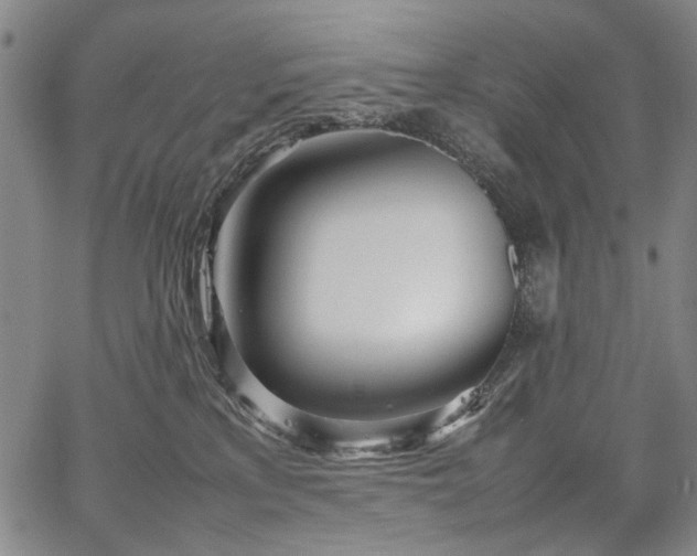 X0000067480233200604071147