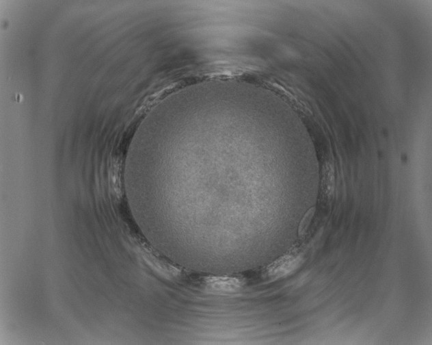 X0000067480234200604071147