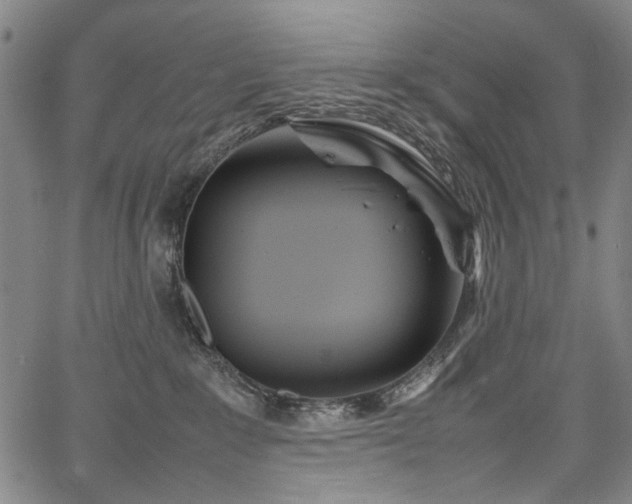 X0000067480235200604071147