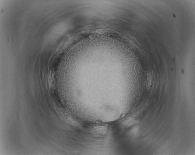 X0000067480236200604071147