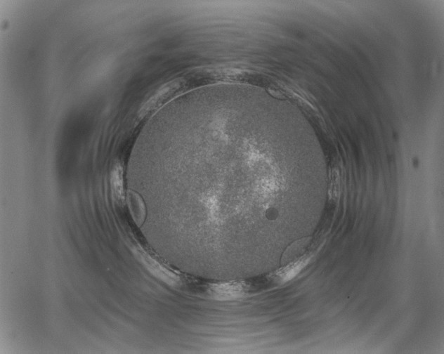 X0000067480238200604071147