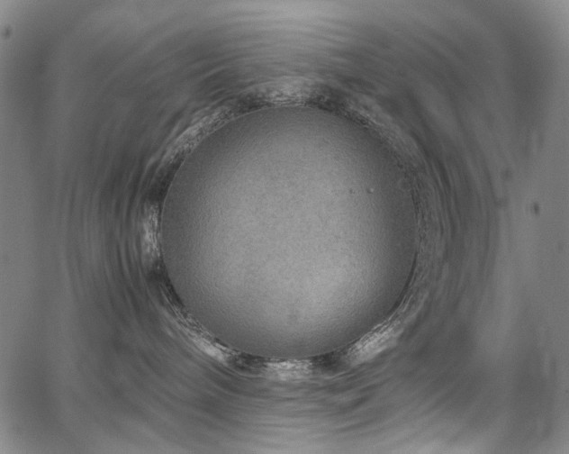 X0000067480240200604071146