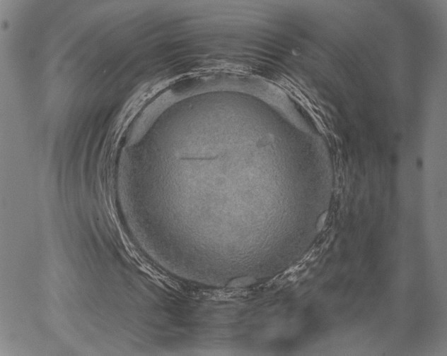 X0000067480241200604071146