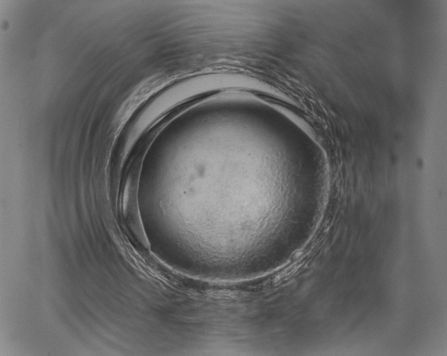 X0000067480242200604071146