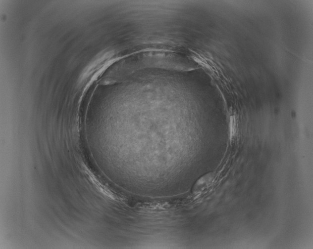 X0000067480243200604071146