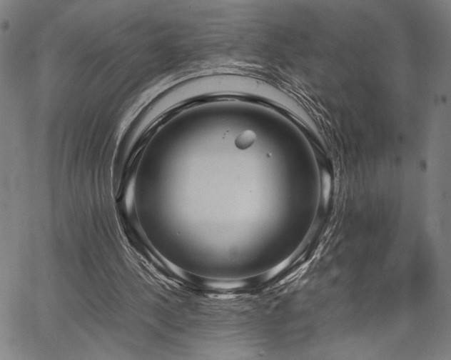 X0000067480244200604071146