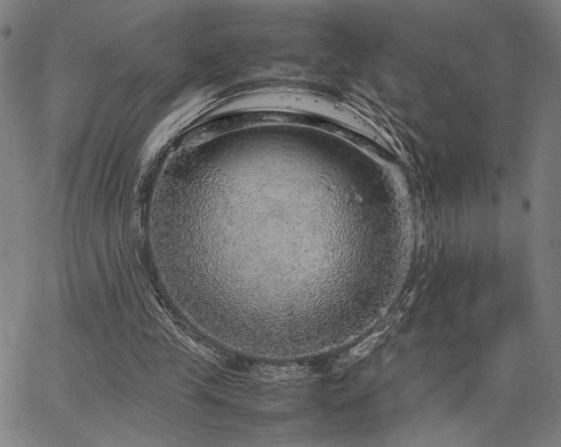 X0000067480245200604071146