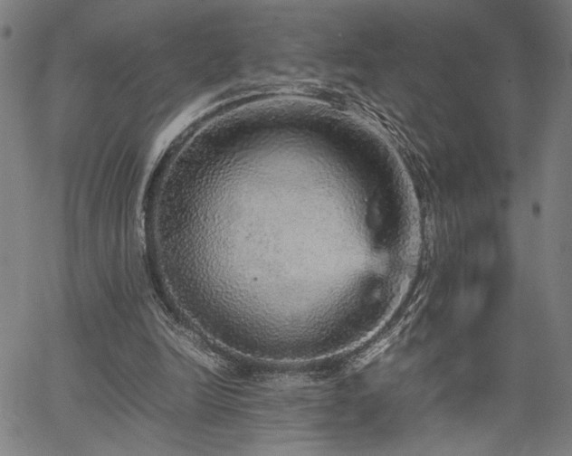 X0000067480246200604071146