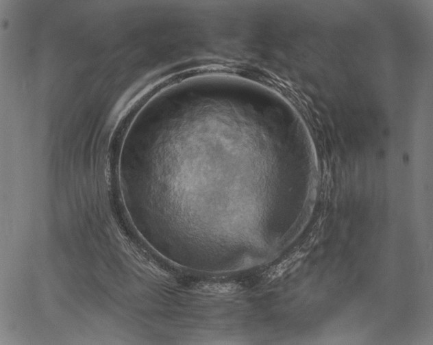 X0000067480247200604071146