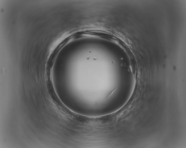 X0000067480248200604071146