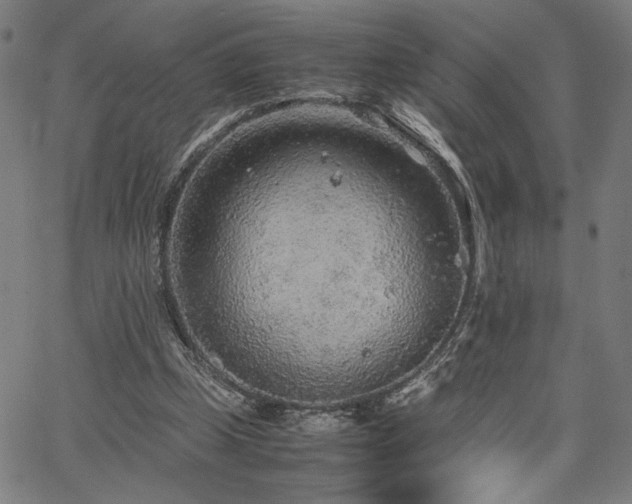 X0000067480249200604071146