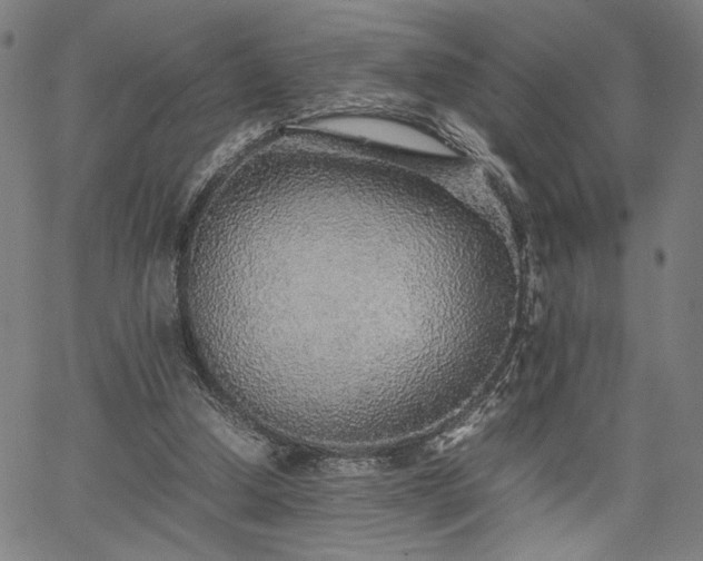 X0000067480250200604071146