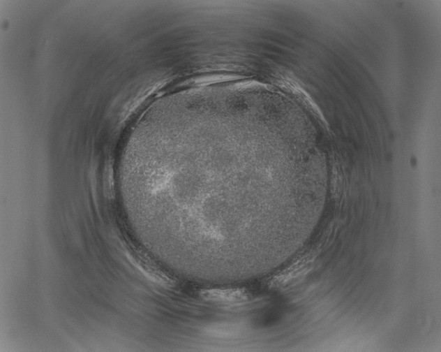 X0000067480251200604071146