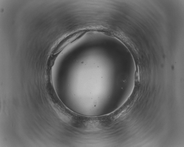 X0000067480252200604071146