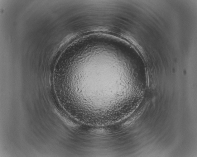 X0000067480253200604071146