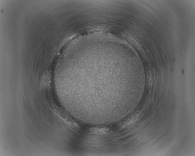 X0000067480255200604071146