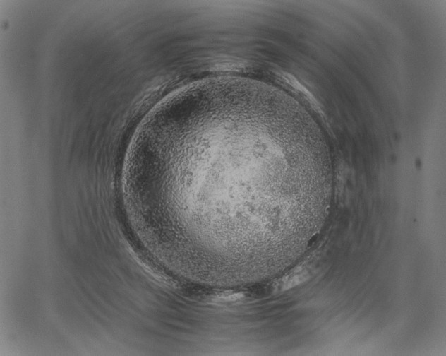 X0000067480257200604071146