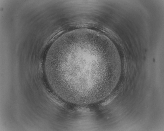 X0000067480258200604071146