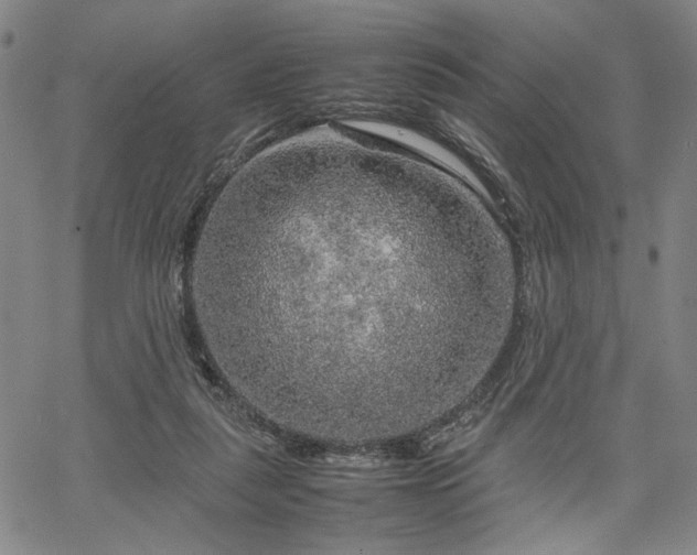 X0000067480259200604071146