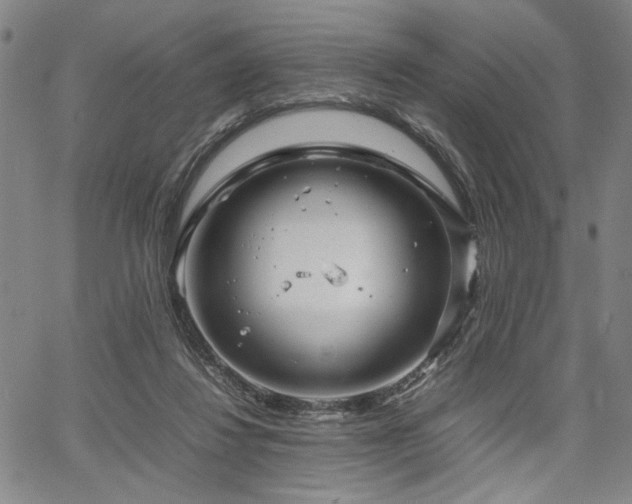 X0000067480260200604071146