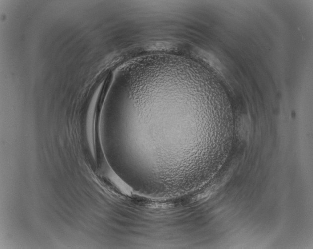 X0000067480261200604071146