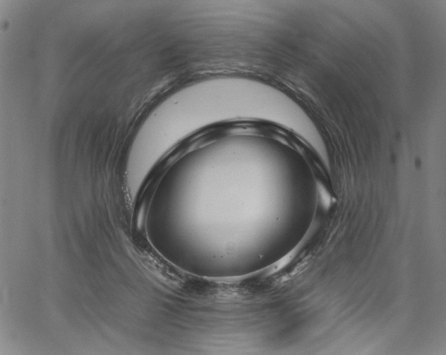 X0000067480264200604071146