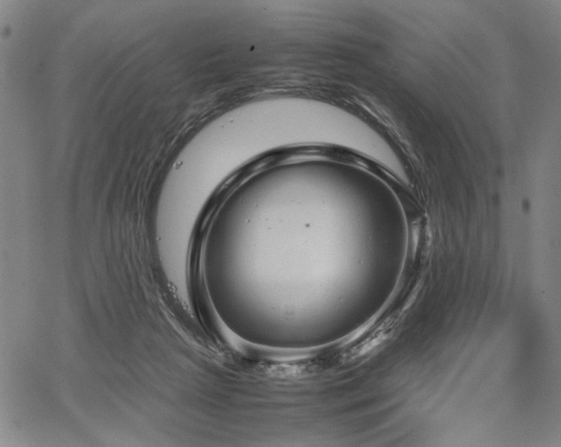 X0000067480265200604071146