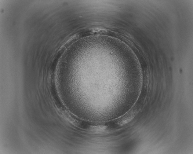 X0000067480266200604071146