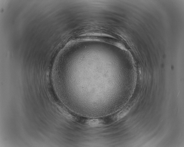 X0000067480269200604071146