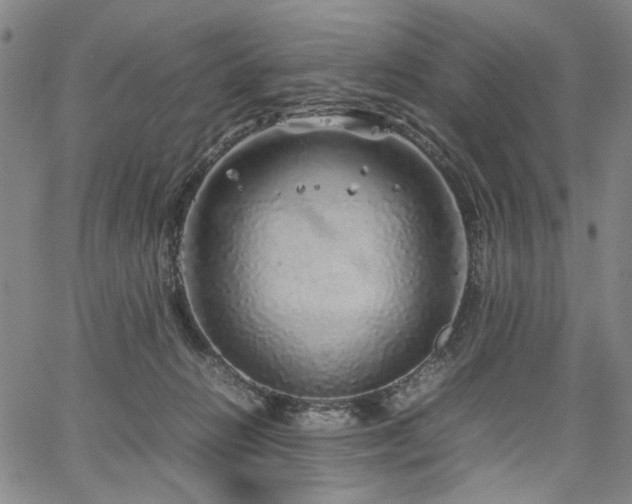 X0000067480270200604071146