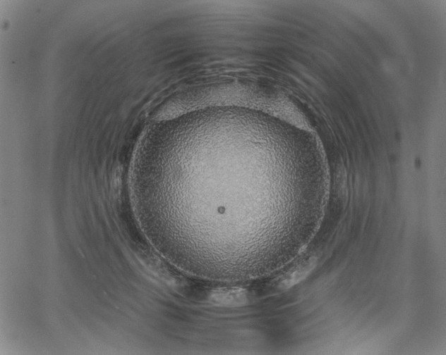 X0000067480271200604071146