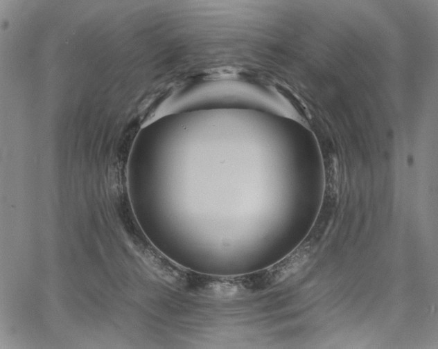 X0000067480272200604071146