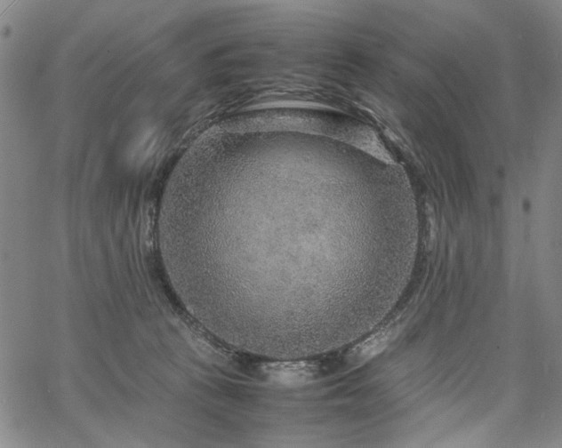 X0000067480273200604071146