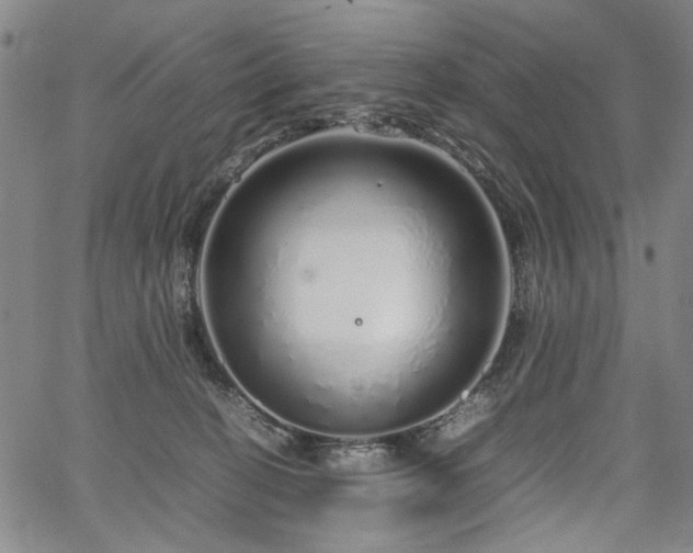 X0000067480274200604071146