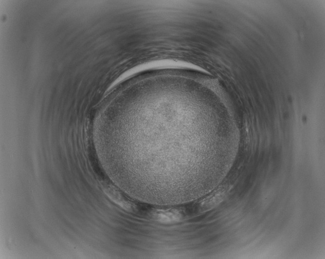 X0000067480275200604071146