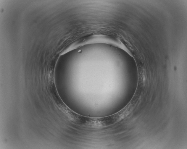 X0000067480276200604071146