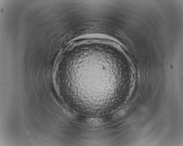 X0000067480277200604071146