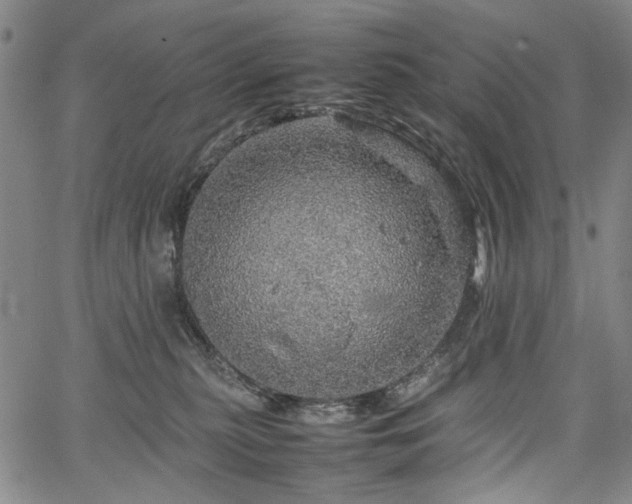 X0000067480279200604071146