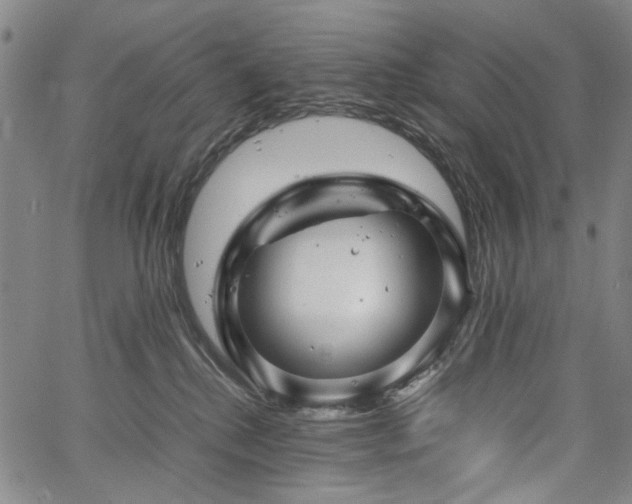 X0000067480280200604071146