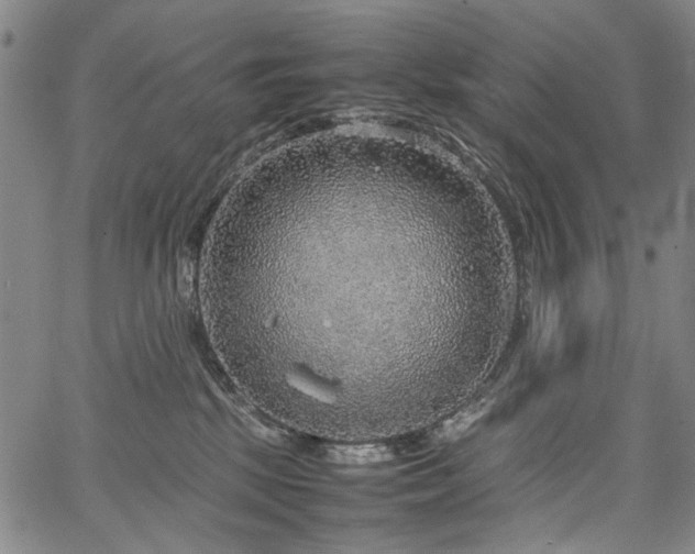 X0000067480281200604071146