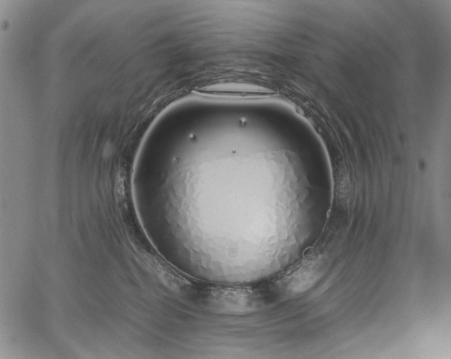 X0000067480282200604071146