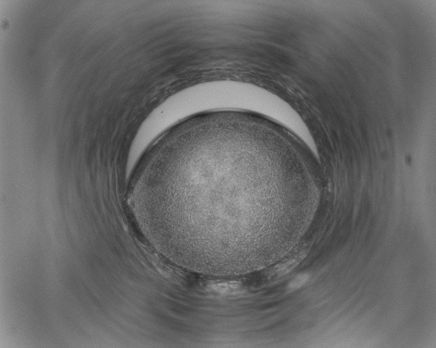 X0000067480283200604071146